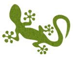 IT-Gecko - Ein Blog rund um das Thema IT